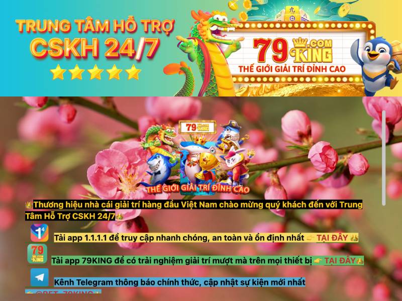 Hỗ trợ khách hàng 24/7: Không chỉ là khẩu hiệu